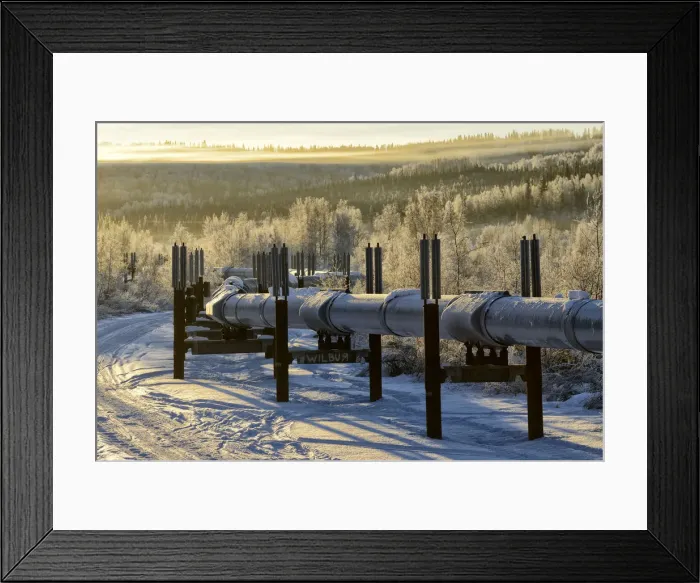 Framed Print : Alaska Pipeline Fairbanks, Alaska, USA Framed Print : Alaska Pipeline Fairbanks, Alaska, USA