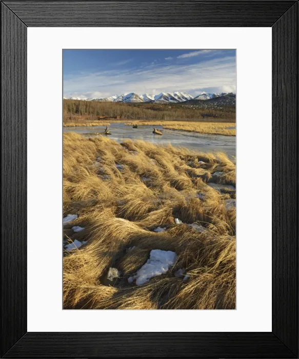 Framed Print : Potter marsh in winter outside of Anchorage, Alaska, USA Framed Print : Potter marsh in winter outside of Anchorage, Alaska, USA
