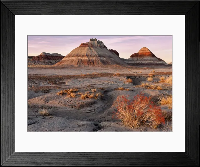 Framed Print : United States of America, Arizona, Petrified Forest National Park Framed Print : United States of America, Arizona, Petrified Forest National Park