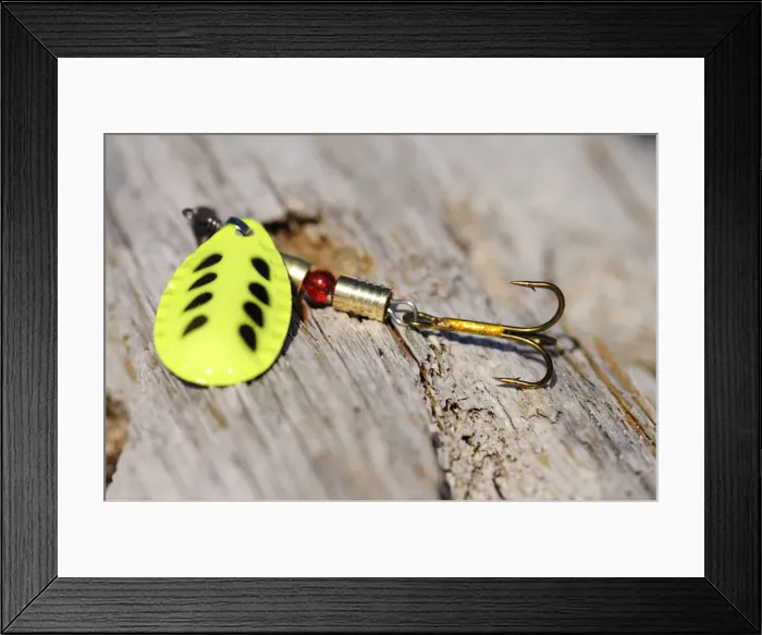 Framed Print : Spoon lure and fishhook Framed Print : Spoon lure and fishhook