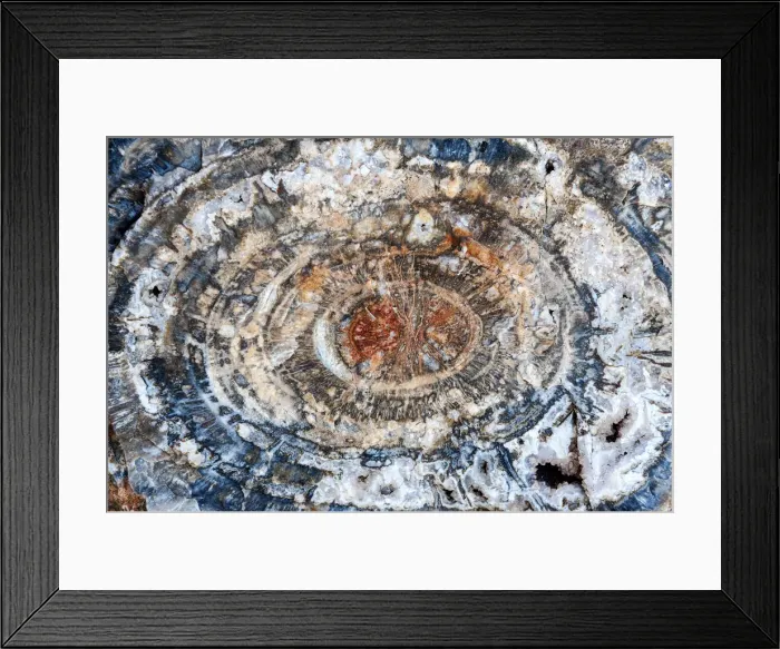 Framed Print : United States of America, Arizona, Petrified Forest National Park Framed Print : United States of America, Arizona, Petrified Forest National Park