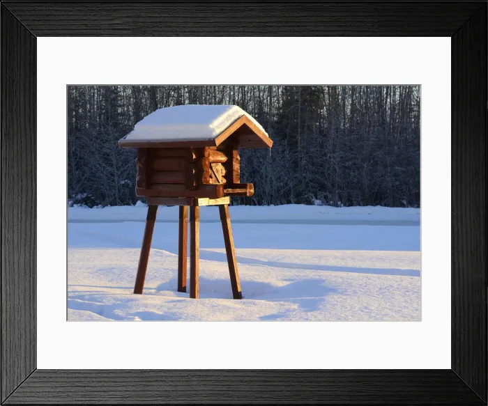 Framed Print : Storage log cabin, Fairbanks, Alaska, USA Framed Print : Storage log cabin, Fairbanks, Alaska, USA