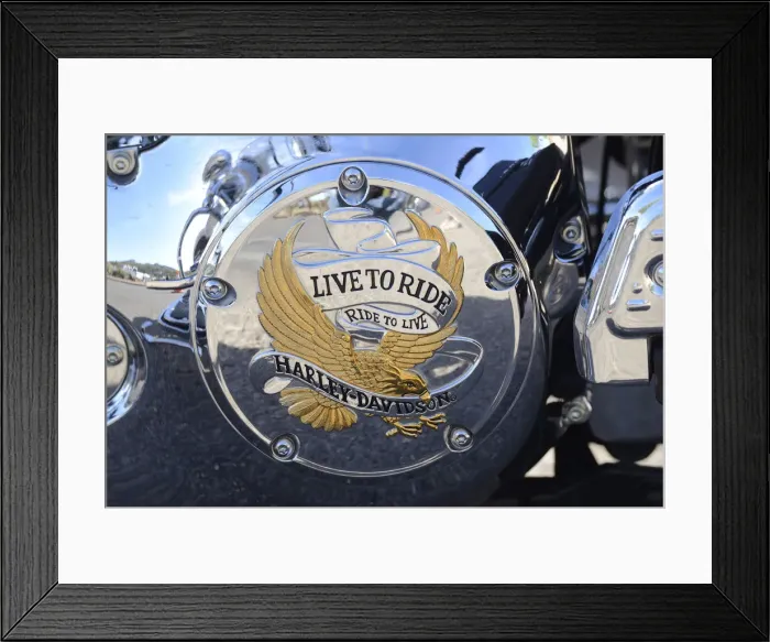 Framed Print : Cave Creek, Greater Phoenix, Arizona, USA