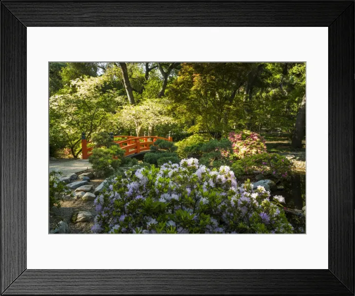 Framed Print : Japanese Garden in Descanso Gardens, La Canada Flintridge, California, USA