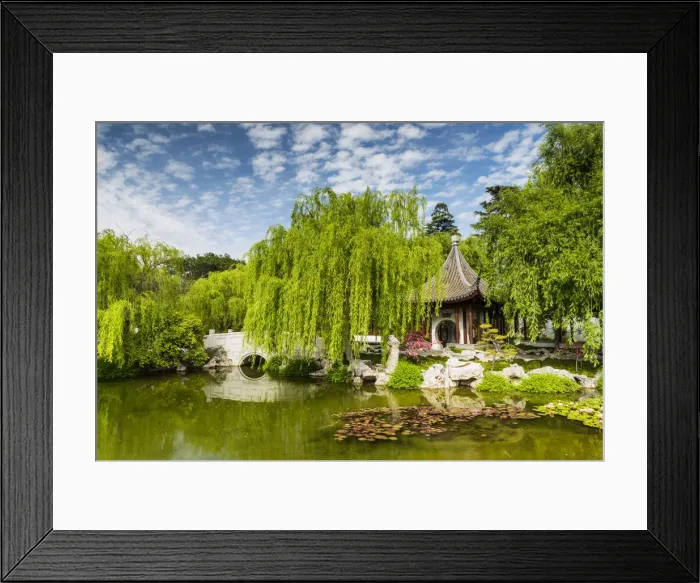 Framed Print : Chinese Garden Pond, Huntington Botanical Gardens, San Marino, California, USA Framed Print : Chinese Garden Pond, Huntington Botanical Gardens, San Marino, California, USA