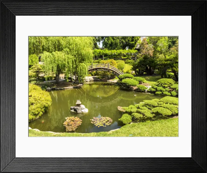 Framed Print : Japanese Garden Pond, Huntington Botanical Gardens, San Marino, California, USA Framed Print : Japanese Garden Pond, Huntington Botanical Gardens, San Marino, California, USA