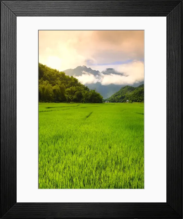 Framed Print : Asia, South East Asia, Vietnam, Mai Chau, view of rice paddies and mountains in