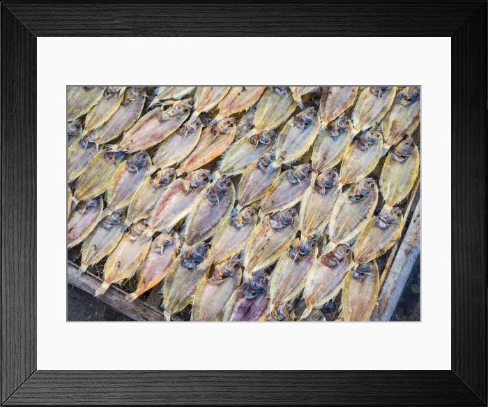 Framed Print : Tilapia drying in the sun at Mui Ne fishing harbor, Phan Thiet, Banh Thuan Province Framed Print : Tilapia drying in the sun at Mui Ne fishing harbor, Phan Thiet, Banh Thuan Province