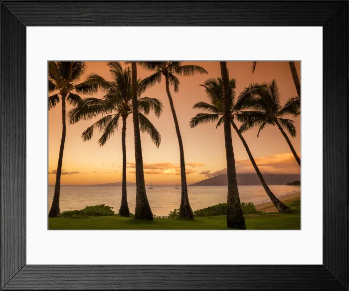 Framed Print : Palm Trees at Sunset, Kamaole Beach Park, Kihei, Maui, Hawaii, USA Framed Print : Palm Trees at Sunset, Kamaole Beach Park, Kihei, Maui, Hawaii, USA