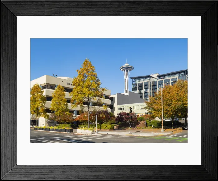 Framed Print : Autumn Leaves and Space needle, Seattle, Washington, USA Framed Print : Autumn Leaves and Space needle, Seattle, Washington, USA