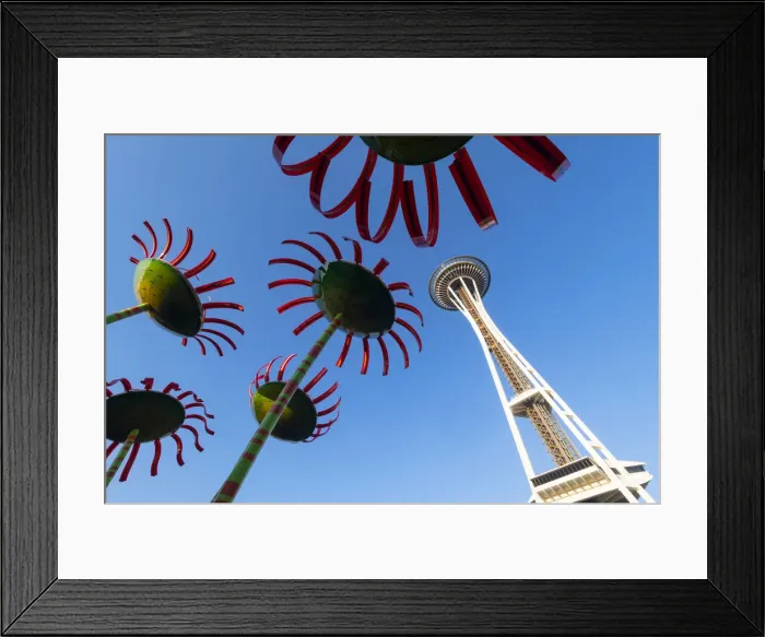 Framed Print : Sonic Bloom Installation at the Seattle Centre and Space needle, Seattle, Washington, USA Framed Print : Sonic Bloom Installation at the Seattle Centre and Space needle, Seattle, Washington, USA