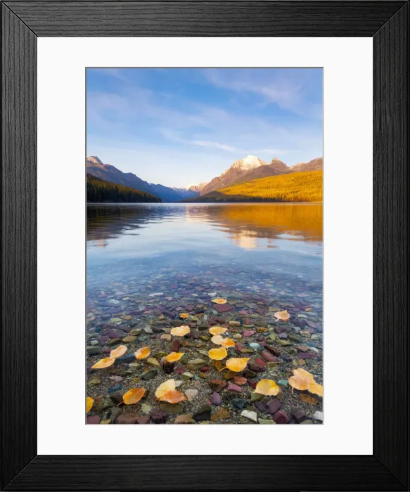 Framed Print : Autumn colours on Bowman Lake, Glacier National Park, Montana, USA