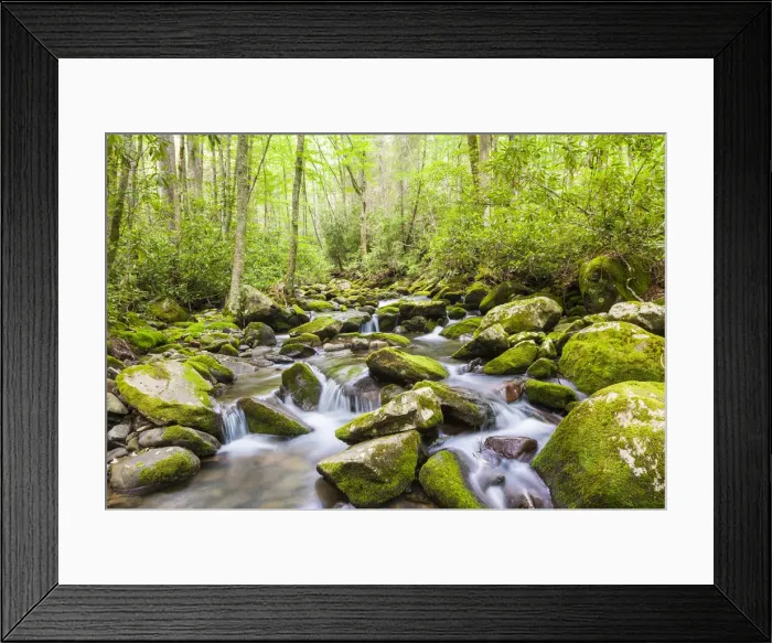Framed Print : Mountain stream along Kephart Trail, Great Smoky Mountains National Park, North Carolina Framed Print : Mountain stream along Kephart Trail, Great Smoky Mountains National Park, North Carolina