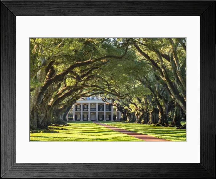 Framed Print : United States, Louisiana, Vacherie. Historic Oak Alley Plantation Framed Print : United States, Louisiana, Vacherie. Historic Oak Alley Plantation