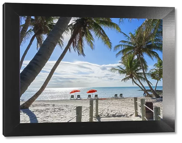Tropical beach, Key West, Florida, USA