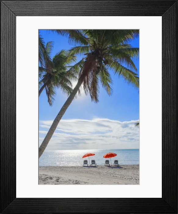 Framed Print : Tropical beach, Key West, Florida, USA