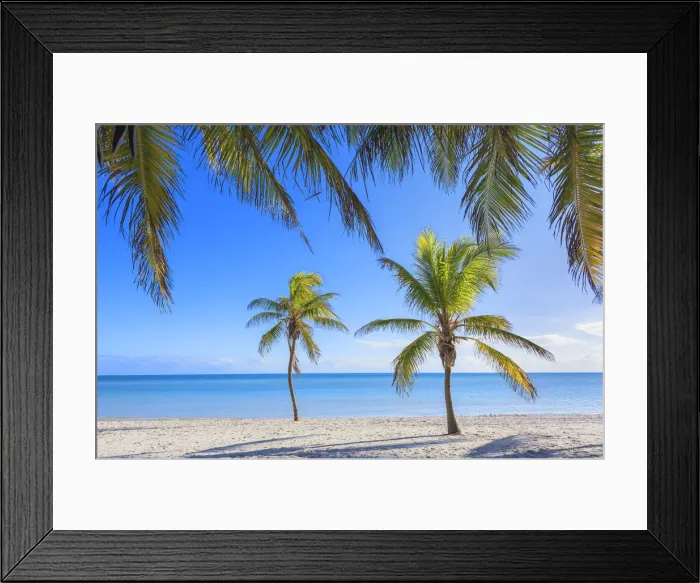 Framed Print : Tropical beach, Key West, Florida, USA Framed Print : Tropical beach, Key West, Florida, USA