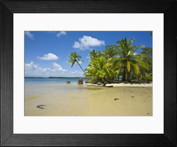 Framed Print : Panama, Bocas del Toro Province, Colon Island (Isla Colon) Boca Del Drago Beach Framed Print : Panama, Bocas del Toro Province, Colon Island (Isla Colon) Boca Del Drago Beach