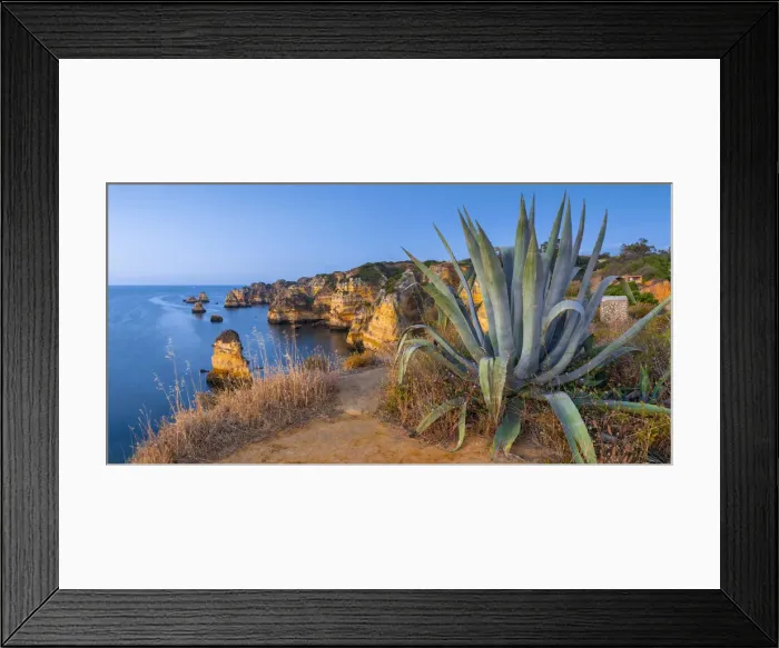 Framed Print : Portugal, Algarve, Lagos, Dona Ana Beach (Praia Dona Ana), Agave plant Framed Print : Portugal, Algarve, Lagos, Dona Ana Beach (Praia Dona Ana), Agave plant