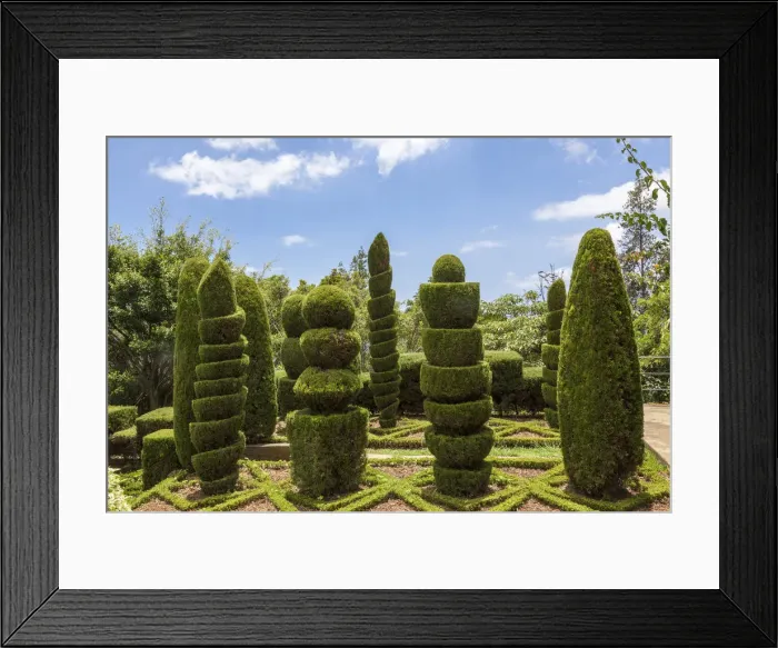 Framed Print : Botanical Garden, Funchal, Madeira, Portugal Framed Print : Botanical Garden, Funchal, Madeira, Portugal