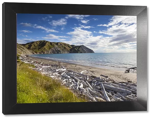 Dramatic wood-lined beach, Mahia Peninsula, North Island, New Zealand