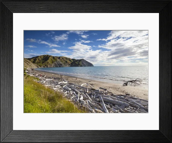 Framed Print : Dramatic wood-lined beach, Mahia Peninsula, North Island, New Zealand Framed Print : Dramatic wood-lined beach, Mahia Peninsula, North Island, New Zealand