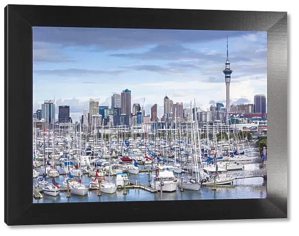 New Zealand, North Island, Auckland, skyline from Westhaven Marina