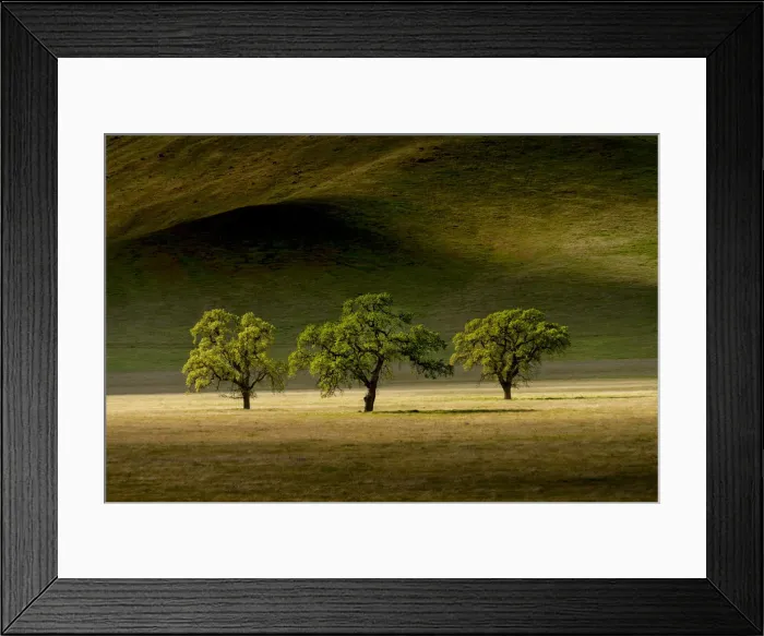 Framed Print : Three Oak Trees, near Keene, California, USA Framed Print : Three Oak Trees, near Keene, California, USA