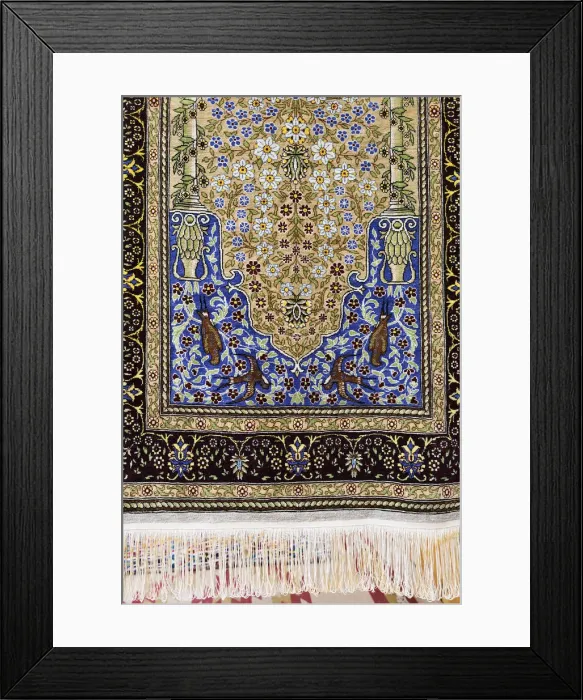 Framed Print : Rugs or carpets made of silk and cotton, a traditional art of embroidery. Suzanni Framed Print : Rugs or carpets made of silk and cotton, a traditional art of embroidery. Suzanni