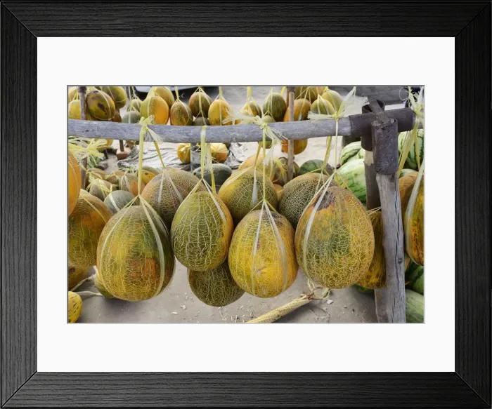 Framed Print : The delicious uzbek melons were already praised by the medieval traveler Ibn Battuta Framed Print : The delicious uzbek melons were already praised by the medieval traveler Ibn Battuta
