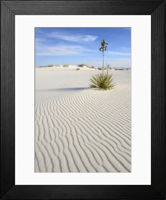 Framed Print : White Sands National Monument, New Mexico, USA