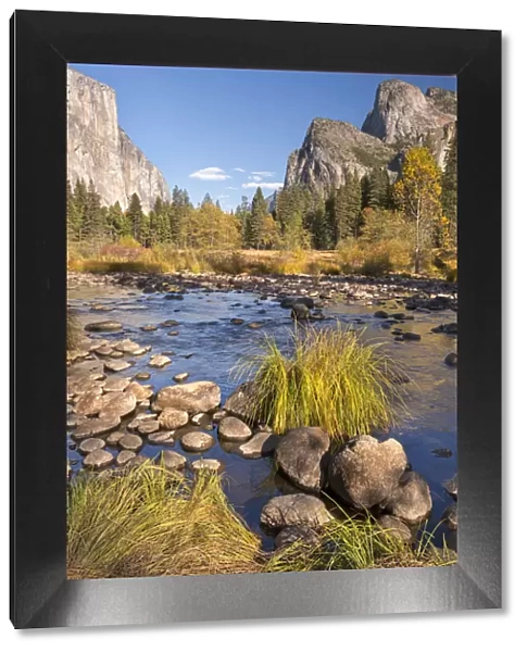 Merced River in Yosemite Valley, California, USA. Autumn (October)