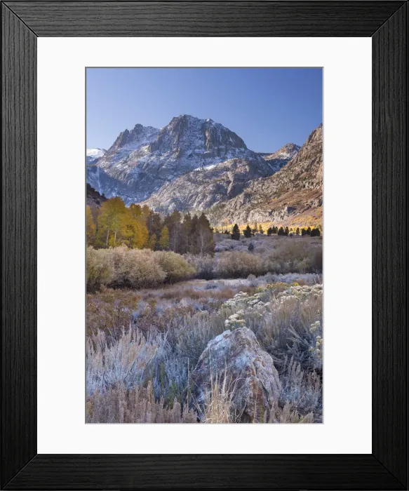 Framed Print : Frosty morning on June Lake Loop in the Eastern Sierra Mountains, California, USA Framed Print : Frosty morning on June Lake Loop in the Eastern Sierra Mountains, California, USA