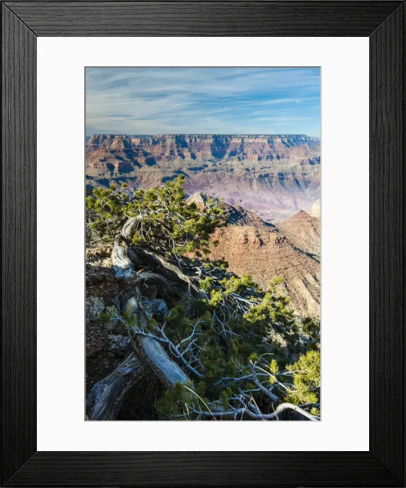 Framed Print : Top view of south rim from Desert View, Grand Canyon National Park, Arizona, USA Framed Print : Top view of south rim from Desert View, Grand Canyon National Park, Arizona, USA