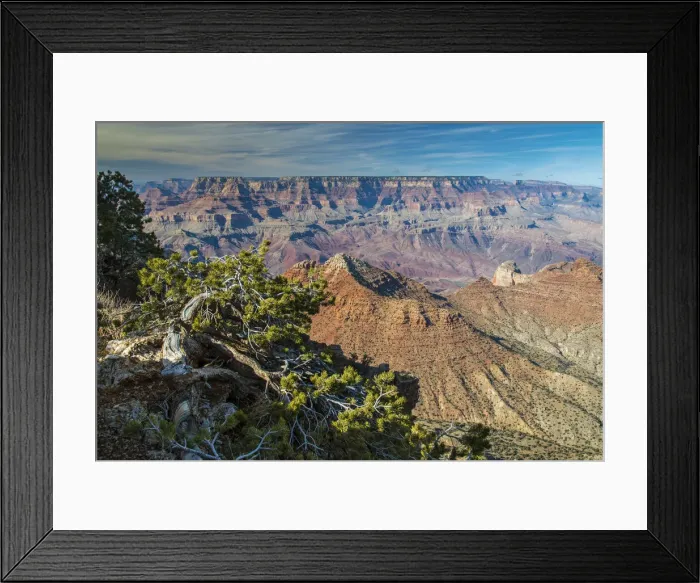 Framed Print : Top view of south rim, Grand Canyon National Park, Arizona, USA Framed Print : Top view of south rim, Grand Canyon National Park, Arizona, USA