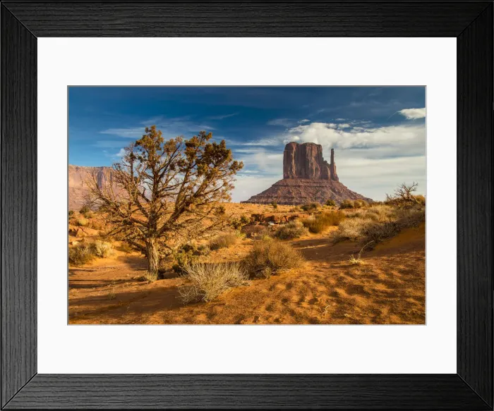 Framed Print : West Mitten Butte, Monument Valley Navajo Tribal Park, Arizona, USA