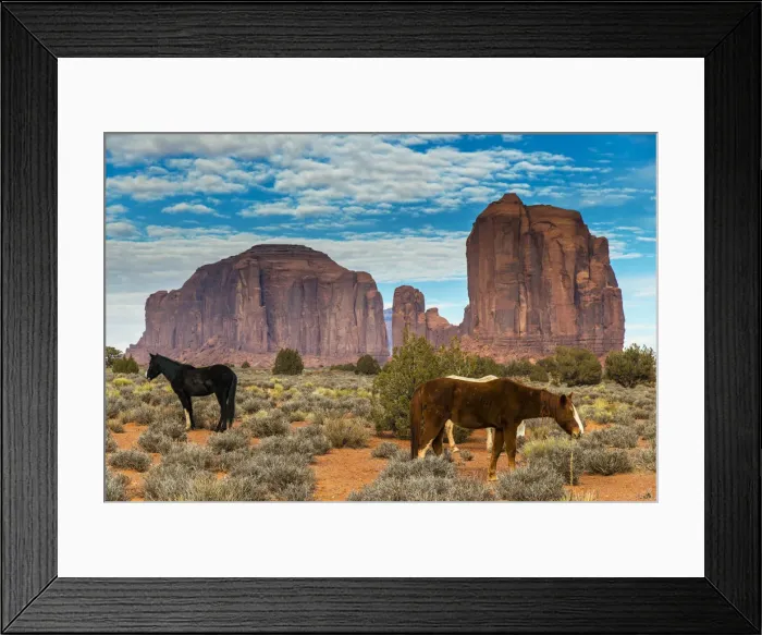 Framed Print : Horses grazing with buttes behind, Monument Valley Navajo Tribal Park, Arizona, USA Framed Print : Horses grazing with buttes behind, Monument Valley Navajo Tribal Park, Arizona, USA
