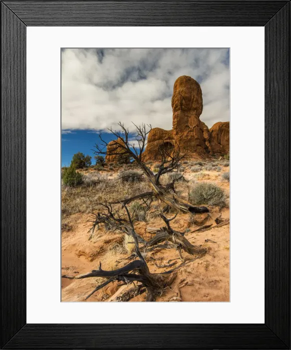 Framed Print : Scenic desert landscape, Arches National Park, Utah, USA Framed Print : Scenic desert landscape, Arches National Park, Utah, USA