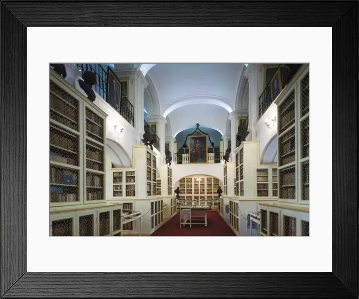 Framed Print : Romania, Transylvania, Targu Mures, Teleki Library, collection of over 230, 000 rare books Framed Print : Romania, Transylvania, Targu Mures, Teleki Library, collection of over 230, 000 rare books