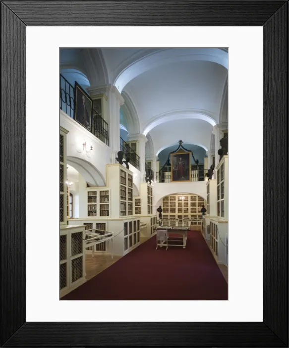 Framed Print : Romania, Transylvania, Targu Mures, Teleki Library, collection of over 230, 000 rare books Framed Print : Romania, Transylvania, Targu Mures, Teleki Library, collection of over 230, 000 rare books