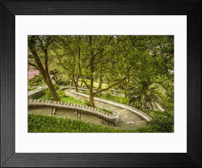 Framed Print : Portugal, Azores, Terceira Island, Angra do Heroismo, Jardim Publico, public garden Framed Print : Portugal, Azores, Terceira Island, Angra do Heroismo, Jardim Publico, public garden