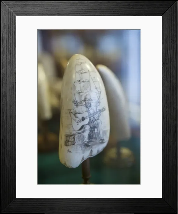 Framed Print : Portugal, Azores, Faial Island, Horta, scrimshaw Framed Print : Portugal, Azores, Faial Island, Horta, scrimshaw
