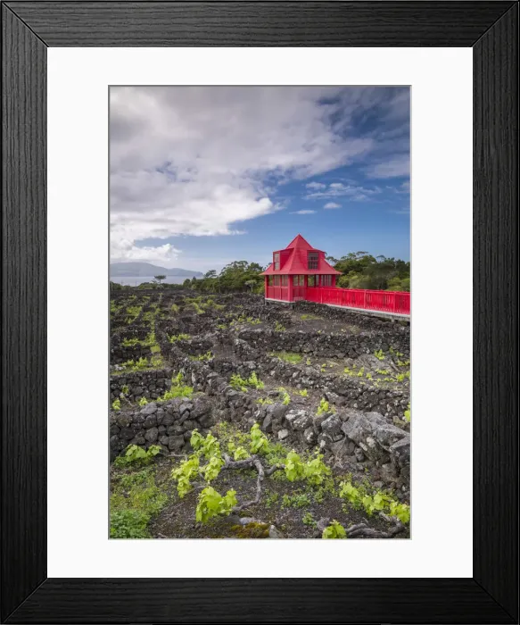 Framed Print : Portugal, Azores, Pico Island, Madalena, Wine Museum, vineyard promenade Framed Print : Portugal, Azores, Pico Island, Madalena, Wine Museum, vineyard promenade