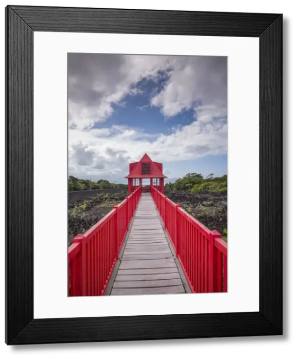 Framed Print : Portugal, Azores, Pico Island, Madalena, Wine Museum, vineyard promenade Framed Print : Portugal, Azores, Pico Island, Madalena, Wine Museum, vineyard promenade