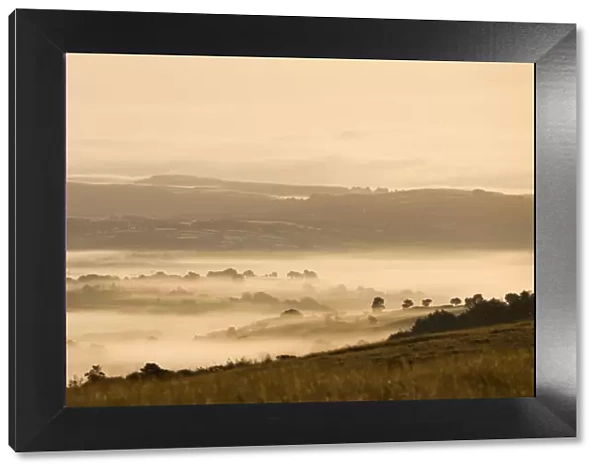 Mist covered countryside at dawn near Llangadog, Brecon Beacons National Park