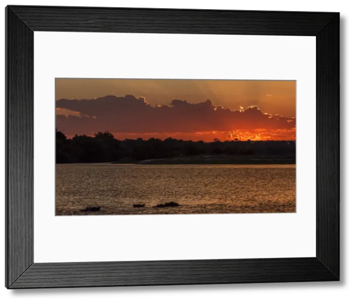 Framed Print : Africa, Zimbabwe, Matabeleland north. Sunset over the Zambezi river near to Victoria Framed Print : Africa, Zimbabwe, Matabeleland north. Sunset over the Zambezi river near to Victoria
