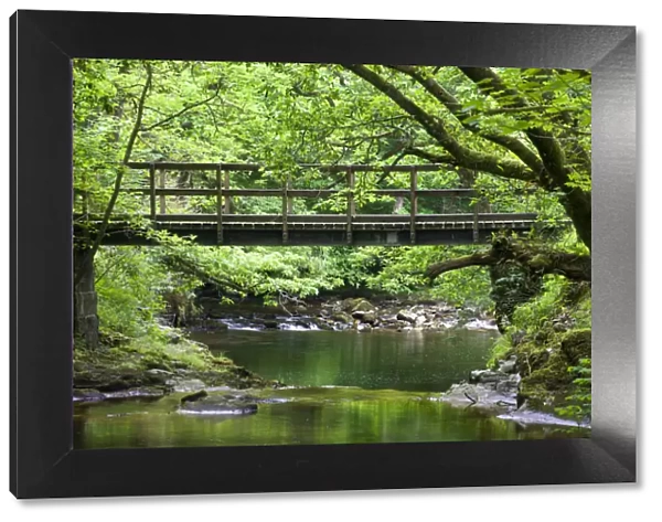 Footbridge over the Nedd Fechan River, Brecon Beacons National Park, Powys, Wales