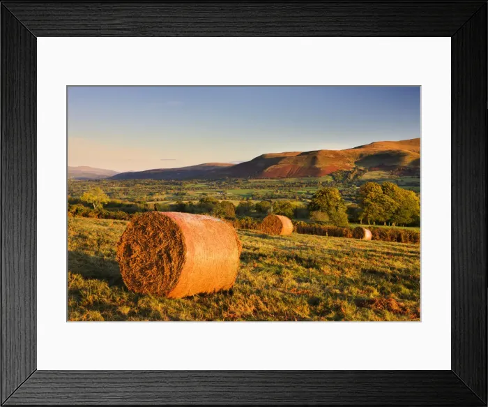 Framed Print : Bracken bales on Mynydd Illtud Common in the Brecon Beacons National Park, Powys, Wales