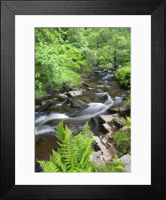 Framed Print : The River Caerfanell at Blaen-y-glyn surrounded by summer green foliage, Brecon Beacons Framed Print : The River Caerfanell at Blaen-y-glyn surrounded by summer green foliage, Brecon Beacons