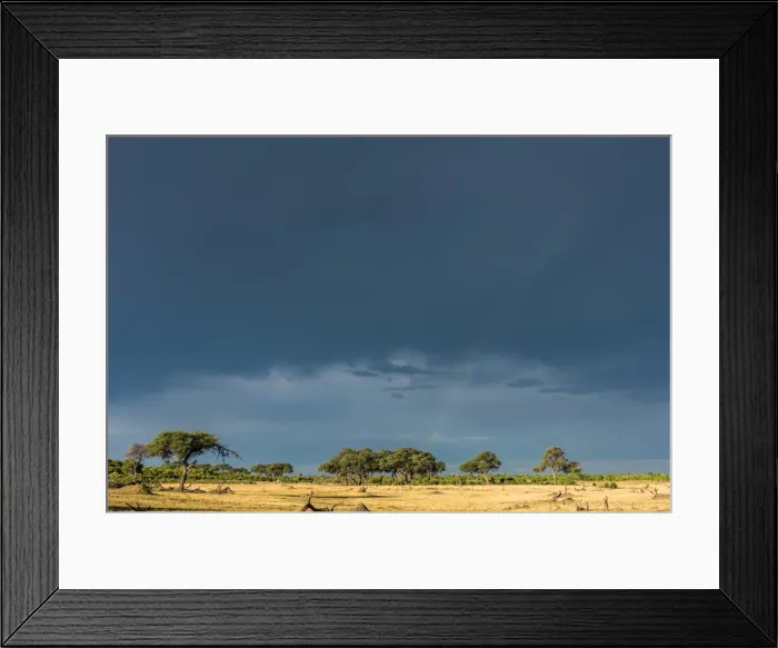 Framed Print : Africa, Zimbabwe, Hwange National park. Rainbow after a thunderstorm in wet season Framed Print : Africa, Zimbabwe, Hwange National park. Rainbow after a thunderstorm in wet season
